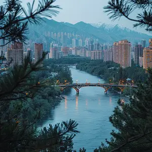 自由摄影公司排名前十