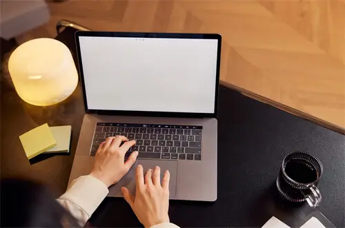 国内算命公司排名前十